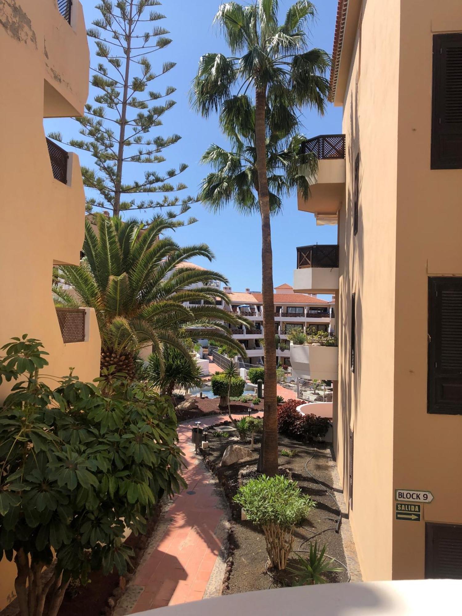 Apartamento Albatros Golf Del Sur Apt 257 San Miguel de Abona Eksteriør billede