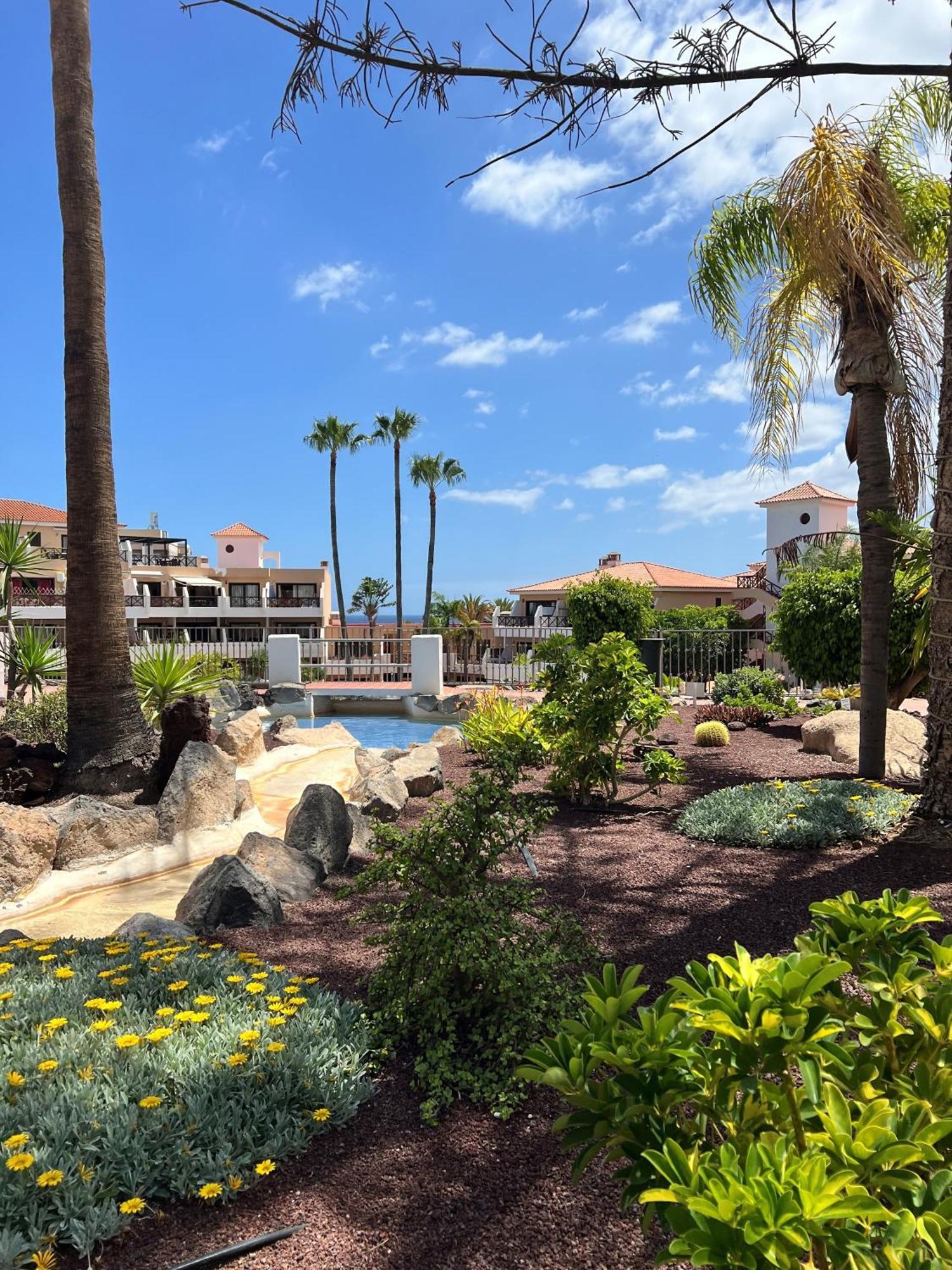Apartamento Albatros Golf Del Sur Apt 257 San Miguel de Abona Eksteriør billede